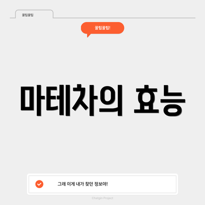 마테차의 효능