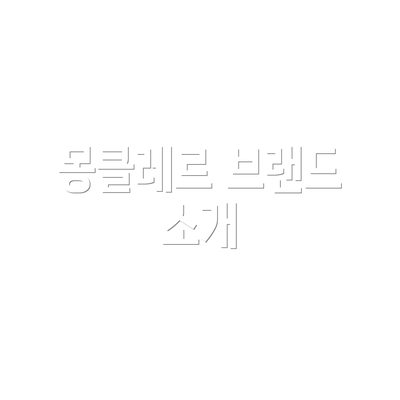 몽클레르 브랜드 소개