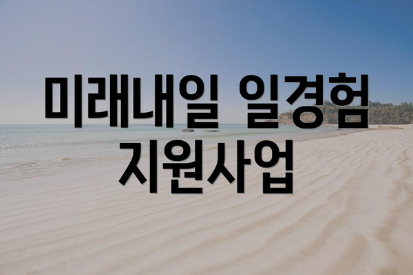 미래내일 일경험 지원사업