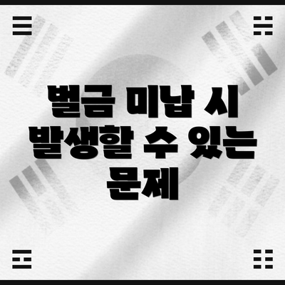 벌금 미납 시 발생할 수 있는 문제