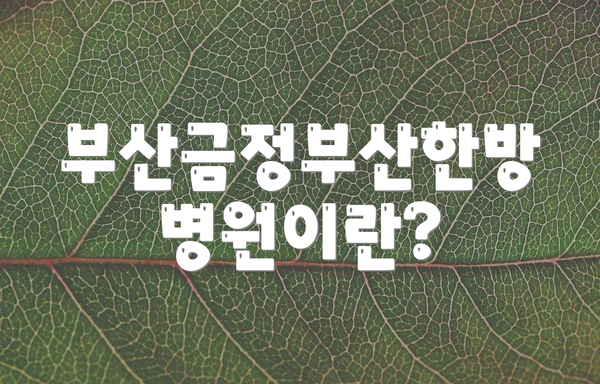 부산금정부산한방병원이란?