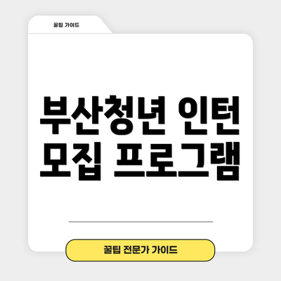 부산청년 인턴 모집 프로그램