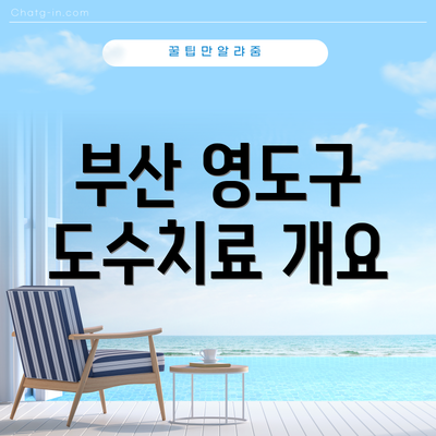 부산 영도구 도수치료 개요
