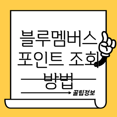 블루멤버스 포인트 조회 방법