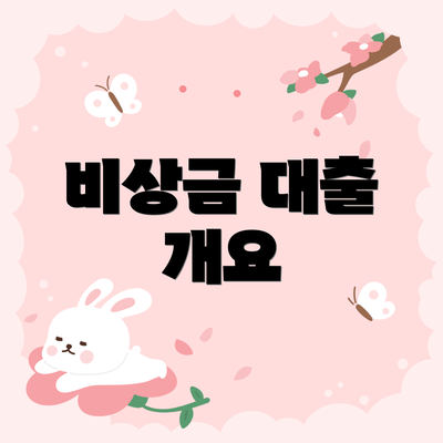 비상금 대출 개요