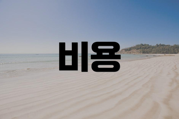비용