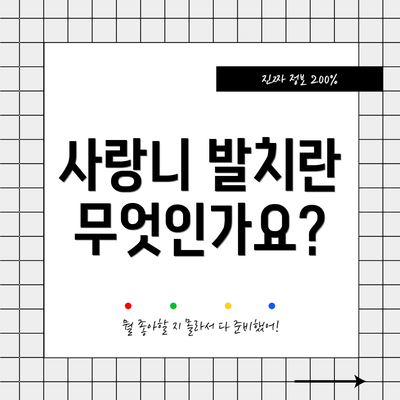사랑니 발치란 무엇인가요?