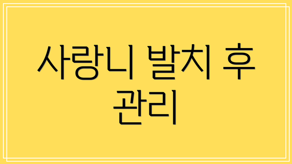 사랑니 발치 후 관리