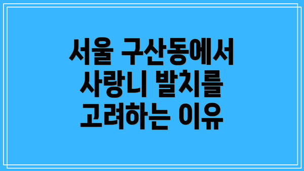 서울 구산동에서 사랑니 발치를 고려하는 이유