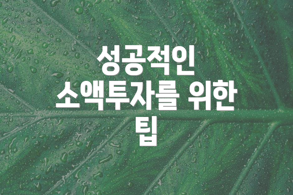 성공적인 소액투자를 위한 팁