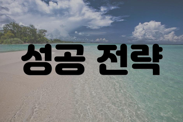 성공 전략