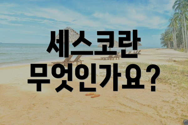 세스코란 무엇인가요?