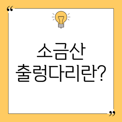 소금산 출렁다리란?