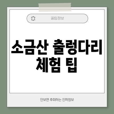 소금산 출렁다리 체험 팁
