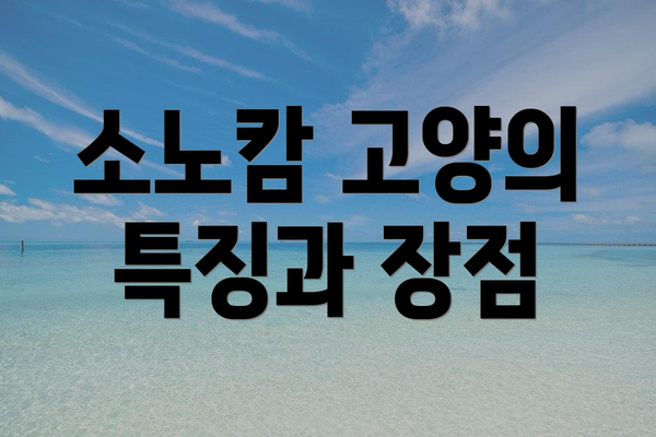 소노캄 고양의 특징과 장점