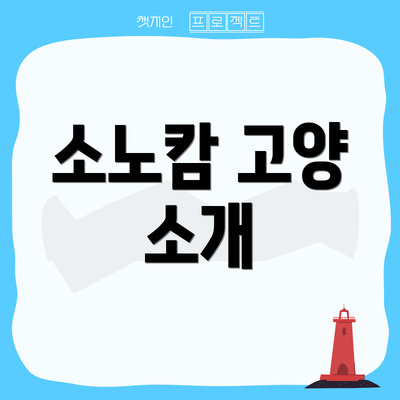 소노캄 고양 소개