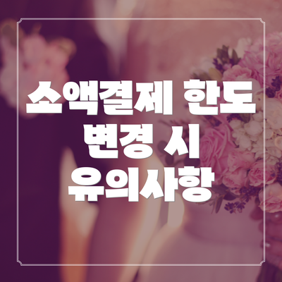 소액결제 한도 변경 시 유의사항