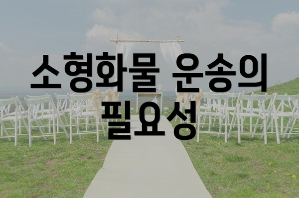 소형화물 운송의 필요성