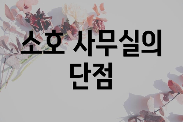 소호 사무실의 단점