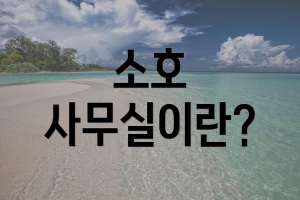 소호 사무실이란?