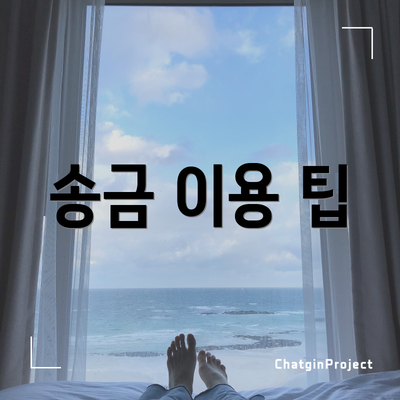송금 이용 팁