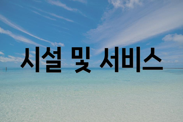 시설 및 서비스