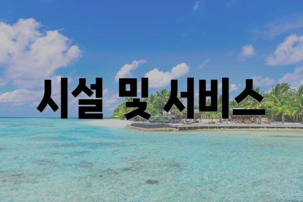 시설 및 서비스