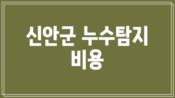 신안군 누수탐지 비용