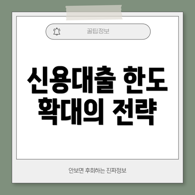 신용대출 한도 확대의 전략