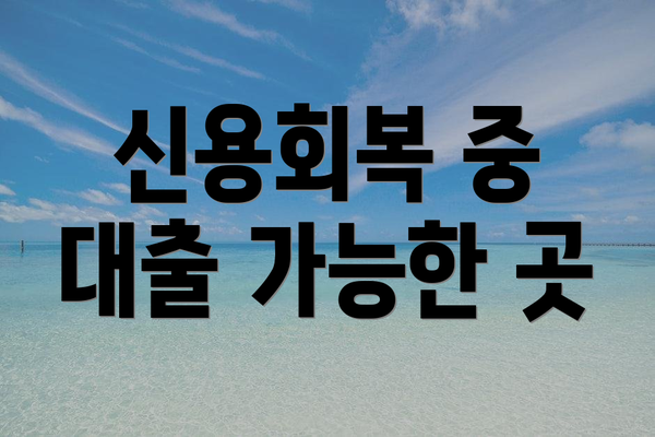 신용회복 중 대출 가능한 곳