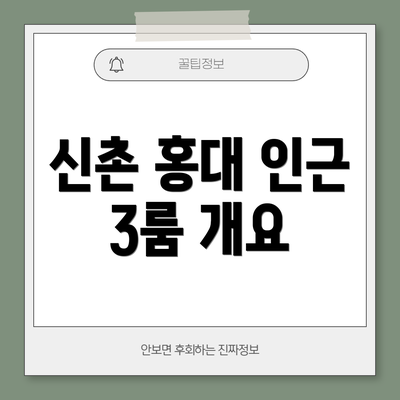 신촌 홍대 인근 3룸 개요