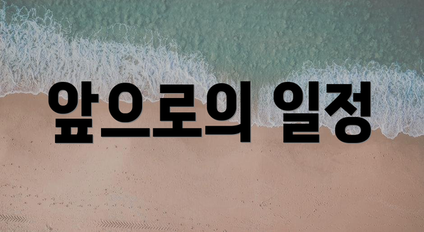 앞으로의 일정