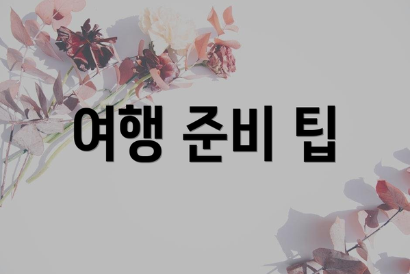 여행 준비 팁