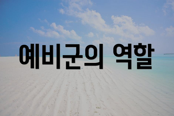 예비군의 역할