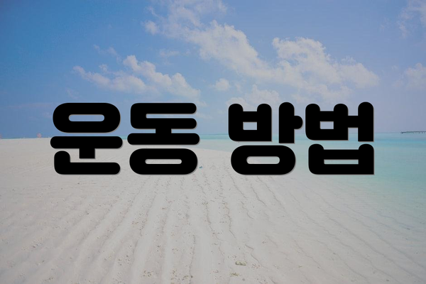 운동 방법