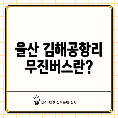 울산 김해공항리무진버스란?