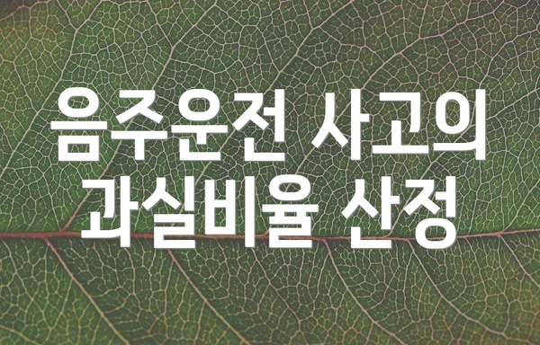 음주운전 사고의 과실비율 산정
