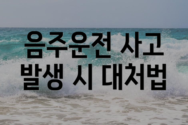 음주운전 사고 발생 시 대처법