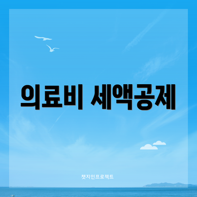 의료비 세액공제