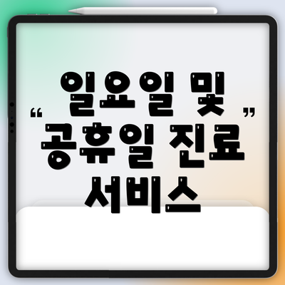 일요일 및 공휴일 진료 서비스