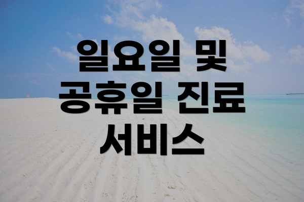 일요일 및 공휴일 진료 서비스