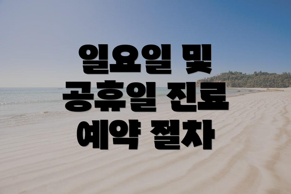 일요일 및 공휴일 진료 예약 절차