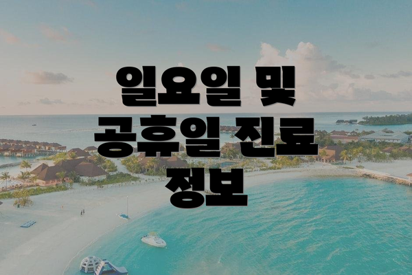 일요일 및 공휴일 진료 정보