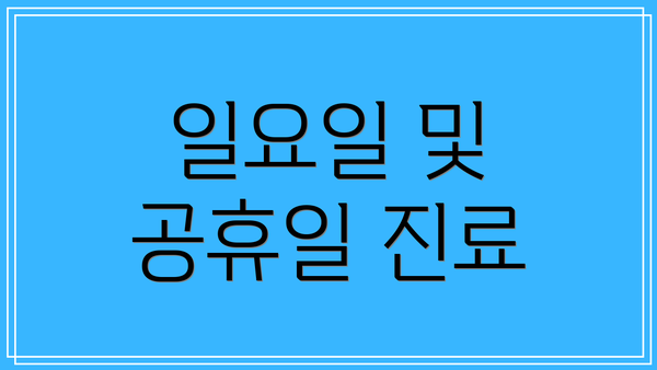 일요일 및 공휴일 진료