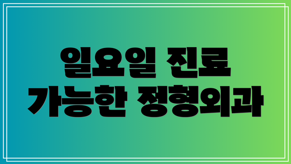 일요일 진료 가능한 정형외과