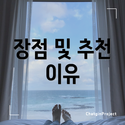 장점 및 추천 이유