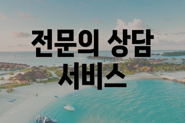 전문의 상담 서비스