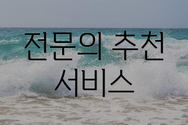 전문의 추천 서비스