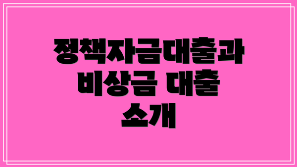 정책자금대출과 비상금 대출 소개