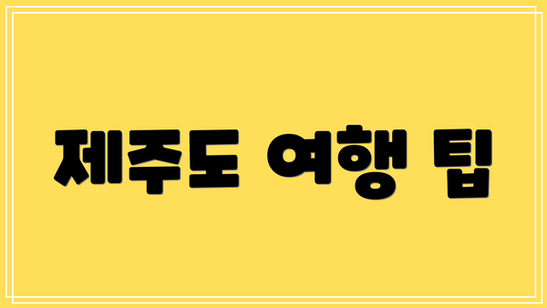 제주도 여행 팁